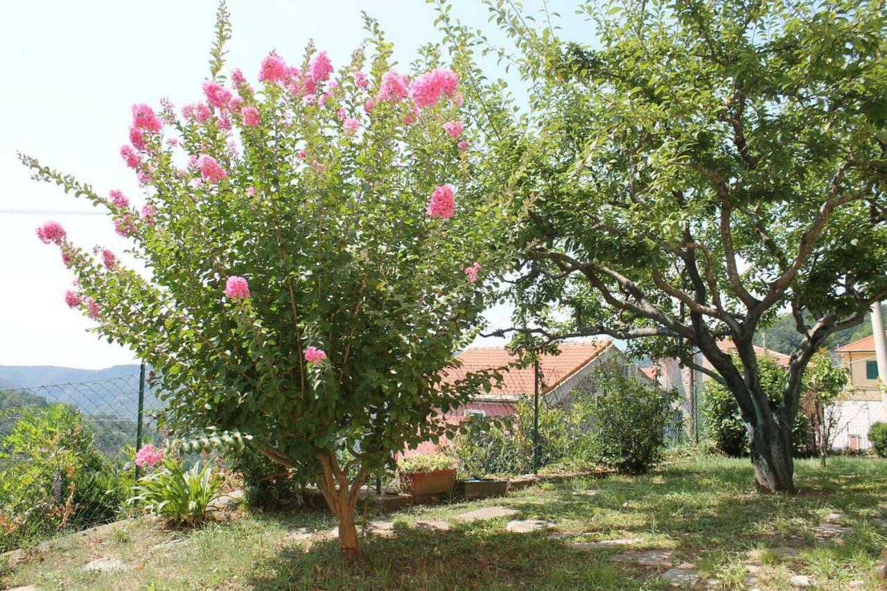 La Casetta Di Graziella Apartment Vezzi Portio Luaran gambar
